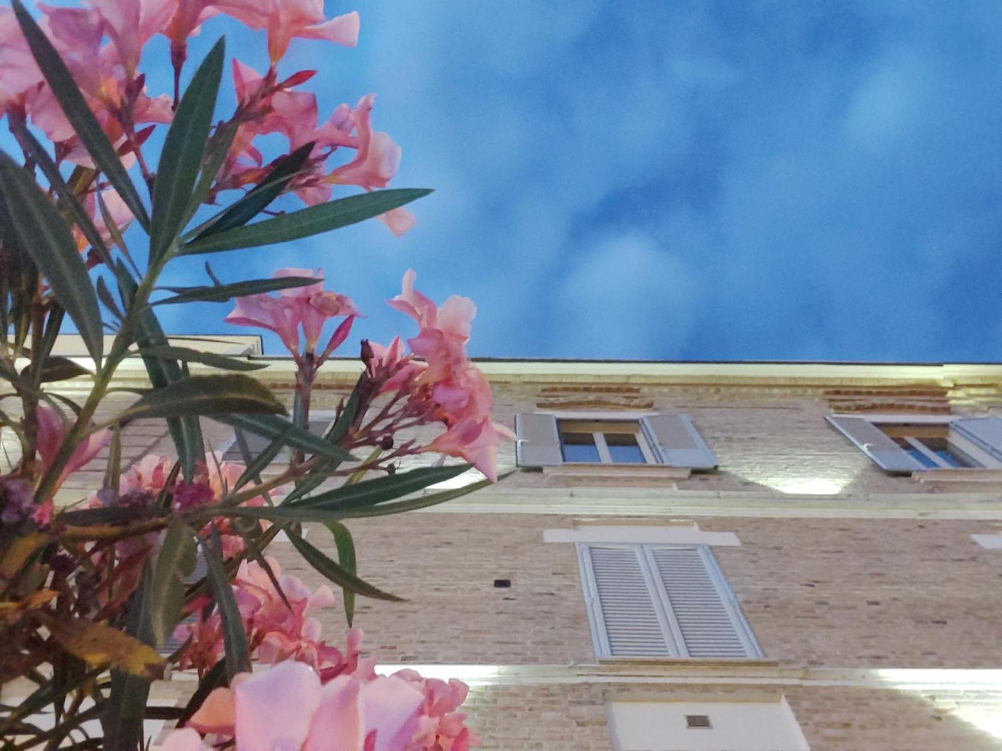 Villa Contessina Cossignano Ngoại thất bức ảnh